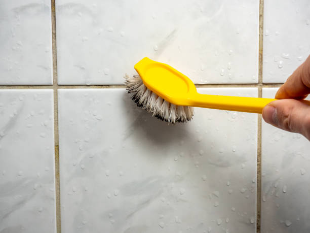 Best Mold Testing  in Shively, KY