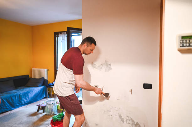 Best Same-Day Mold Removal  in Shively, KY